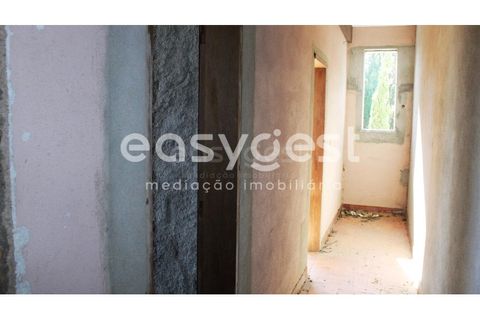 Farm i Abrantes, Santarem, Abrantes - € 800.000 | Ref: TM86848 - foto 15