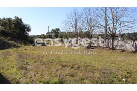 Farm i Abrantes, Santarem, Abrantes - € 800.000 | Ref: TM86848 - foto 17