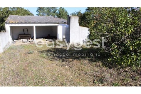Farm i Abrantes, Santarem, Abrantes - € 800.000 | Ref: TM86848 - foto 18