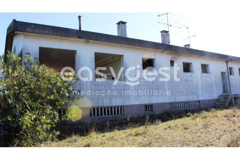 Farm i Abrantes, Santarem, Abrantes - € 800.000 | Ref: TM86848 - foto 19