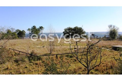 Farm i Abrantes, Santarem, Abrantes - € 800.000 | Ref: TM86848 - foto 20