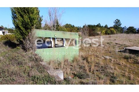 Farm i Abrantes, Santarem, Abrantes - € 800.000 | Ref: TM86848 - foto 22