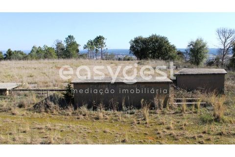 Farm i Abrantes, Santarem, Abrantes - € 800.000 | Ref: TM86848 - foto 23
