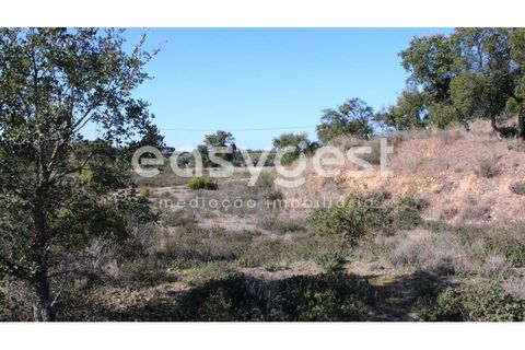 Farm i Abrantes, Santarem, Abrantes - € 800.000 | Ref: TM86848 - foto 24