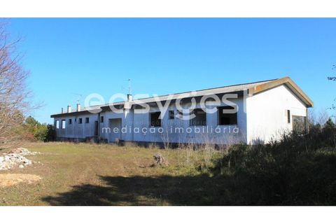Farm i Abrantes, Santarem, Abrantes - € 800.000 | Ref: TM86848 - foto 26
