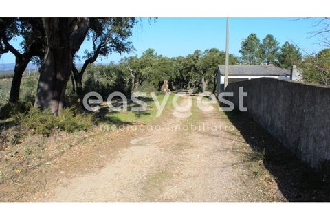Farm i Abrantes, Santarem, Abrantes - € 800.000 | Ref: TM86848 - foto 27