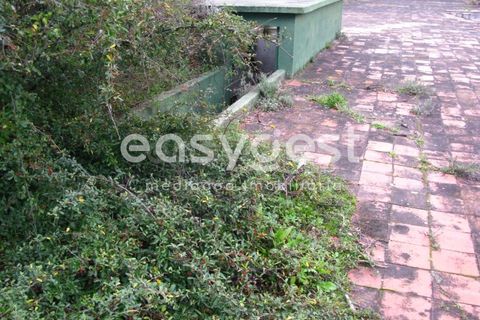 Farm i Abrantes, Santarem, Abrantes - € 800.000 | Ref: TM86848 - foto 28