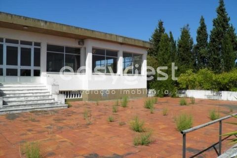 Farm i Abrantes, Santarem, Abrantes - € 800.000 | Ref: TM86848 - foto 29