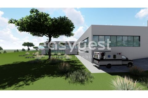 Farm i Abrantes, Santarem, Abrantes - € 800.000 | Ref: TM86848 - foto 33