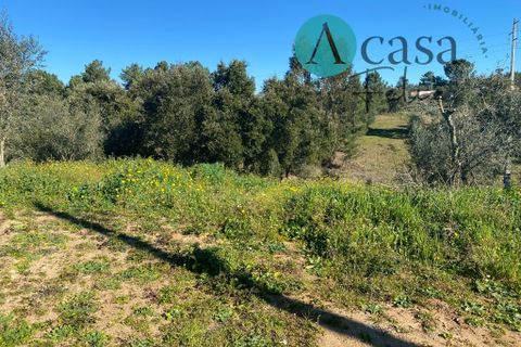 Helårsgrund i Tomar, Santarem, Tomar - € 35.000 | Ref: A052022 - foto 2