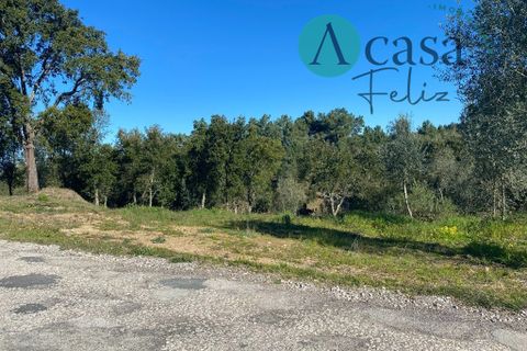 Helårsgrund i Tomar, Santarem, Tomar - € 35.000 | Ref: A052022 - foto 3