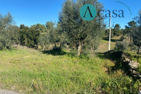 Helårsgrund i Tomar, Santarem, Tomar - € 35.000 | Ref: A052022 - foto 4