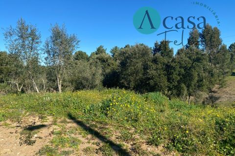 Helårsgrund i Tomar, Santarem, Tomar - € 35.000 | Ref: A052022 - foto 5