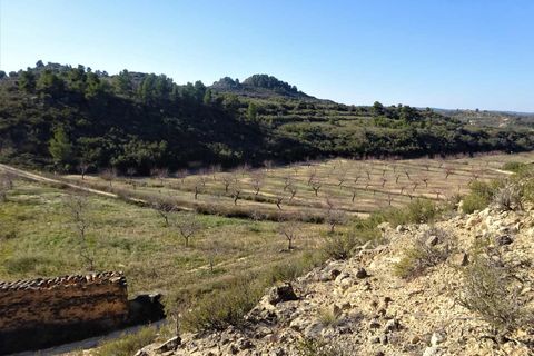 Finca i Maella, Zaragoza, Maella - € 27.500 | Ref: 0777 - foto 6