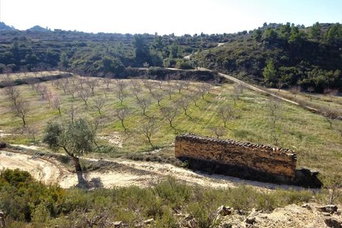 Finca i Maella, Zaragoza, Maella - € 27.500 | Ref: 0777 - foto 7