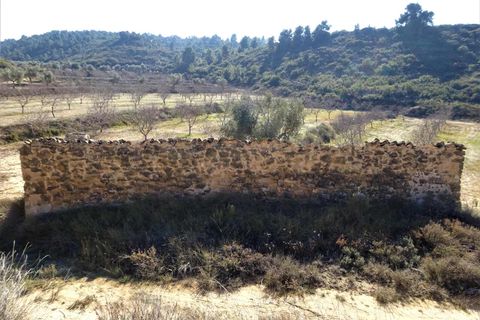 Finca i Maella, Zaragoza, Maella - € 27.500 | Ref: 0777 - foto 15