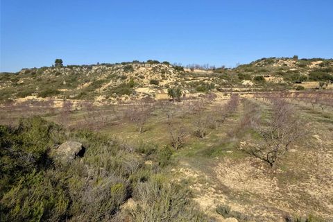 Finca i Maella, Zaragoza, Maella - € 27.500 | Ref: 0777 - foto 23