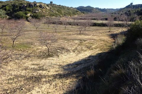 Finca i Maella, Zaragoza, Maella - € 27.500 | Ref: 0777 - foto 25