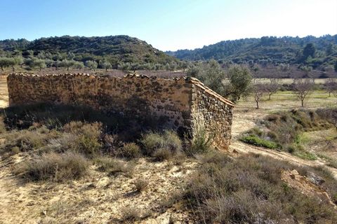 Finca i Maella, Zaragoza, Maella - € 27.500 | Ref: 0777 - foto 14