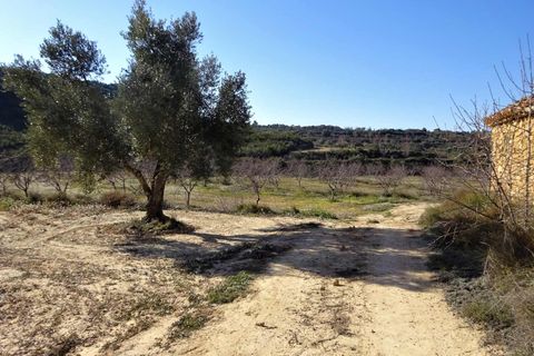 Finca i Maella, Zaragoza, Maella - € 27.500 | Ref: 0777 - foto 22