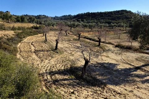 Finca i Maella, Zaragoza, Maella - € 27.500 | Ref: 0777 - foto 17