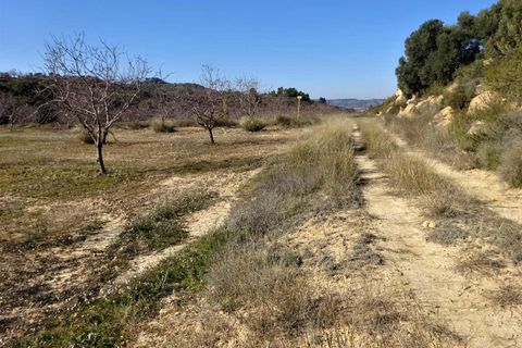 Finca i Maella, Zaragoza, Maella - € 27.500 | Ref: 0777 - foto 24