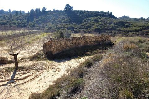 Finca i Maella, Zaragoza, Maella - € 27.500 | Ref: 0777 - foto 16
