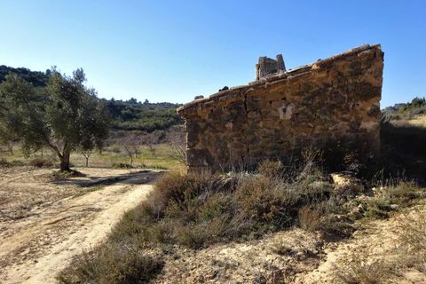 Finca i Maella, Zaragoza, Maella - € 27.500 | Ref: 0777 - foto 11