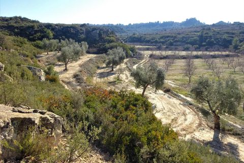 Finca i Maella, Zaragoza, Maella - € 27.500 | Ref: 0777 - foto 8