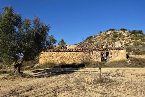 Finca i Maella, Zaragoza, Maella - € 27.500 | Ref: 0777 - foto 13