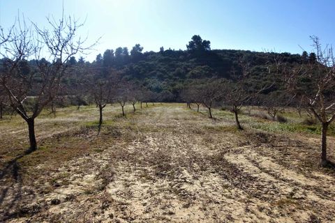 Finca i Maella, Zaragoza, Maella - € 27.500 | Ref: 0777 - foto 9