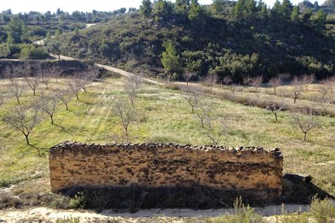 Finca i Maella, Zaragoza, Maella - € 27.500 | Ref: 0777 - foto 1