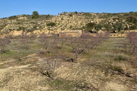 Finca i Maella, Zaragoza, Maella - € 27.500 | Ref: 0777 - foto 26