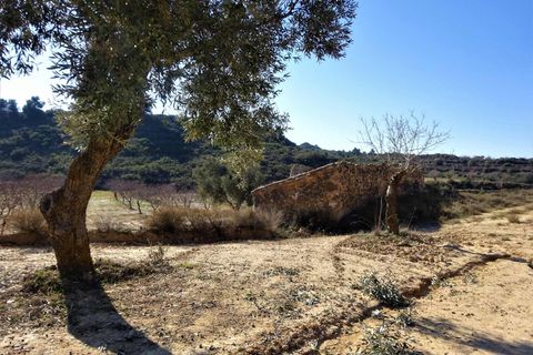 Finca i Maella, Zaragoza, Maella - € 27.500 | Ref: 0777 - foto 18