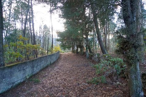 Helårsgrund i Ceivaes e Badim, Viana do Castelo, Ceivaes e Badim - € 23.000 | Ref: 3762 - foto 1