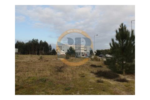 Helårsgrund i Ovar, Aveiro, Ovar - € 131.892 | Ref: T/0321 (4) - foto 3