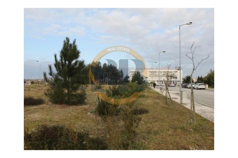 Helårsgrund i Ovar, Aveiro, Ovar - € 131.892 | Ref: T/0321 (4) - foto 4