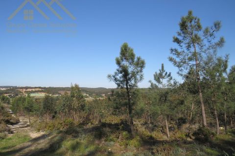 Helårsgrund i Torres Vedras, Lisbon, Torres Vedras - € 156.100 | Ref: GD202138690801 - foto 4
