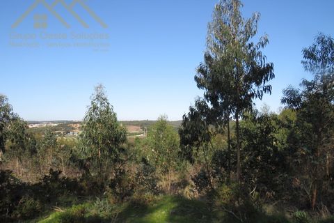 Helårsgrund i Torres Vedras, Lisbon, Torres Vedras - € 156.100 | Ref: GD202138690801 - foto 5