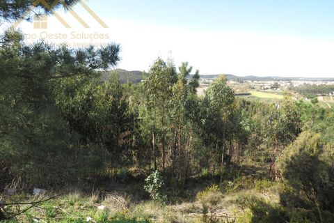 Helårsgrund i Torres Vedras, Lisbon, Torres Vedras - € 156.100 | Ref: GD202138690801 - foto 9
