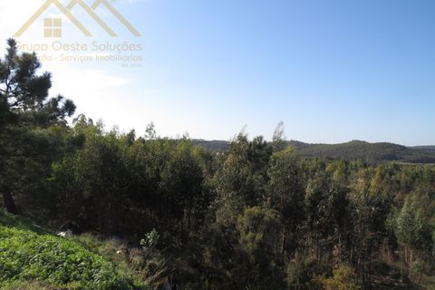 Helårsgrund i Torres Vedras, Lisbon, Torres Vedras - € 156.100 | Ref: GD202138690801 - foto 10