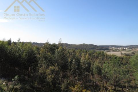 Helårsgrund i Torres Vedras, Lisbon, Torres Vedras - € 156.100 | Ref: GD202138690801 - foto 12