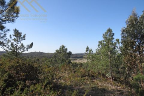 Helårsgrund i Torres Vedras, Lisbon, Torres Vedras - € 156.100 | Ref: GD202138690801 - foto 14
