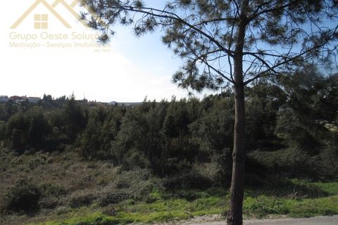 Helårsgrund i Torres Vedras, Lisbon, Torres Vedras - € 62.390 | Ref: GD202139660801 - foto 3