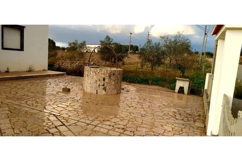 Farm i Estremoz, Evora, Estremoz - € 490.000 | Ref: MAS_110 - foto 2