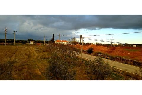 Farm i Estremoz, Evora, Estremoz - € 490.000 | Ref: MAS_110 - foto 14