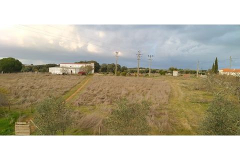 Farm i Estremoz, Evora, Estremoz - € 490.000 | Ref: MAS_110 - foto 15