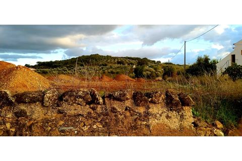 Farm i Estremoz, Evora, Estremoz - € 490.000 | Ref: MAS_110 - foto 16