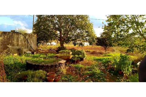 Farm i Estremoz, Evora, Estremoz - € 490.000 | Ref: MAS_110 - foto 18