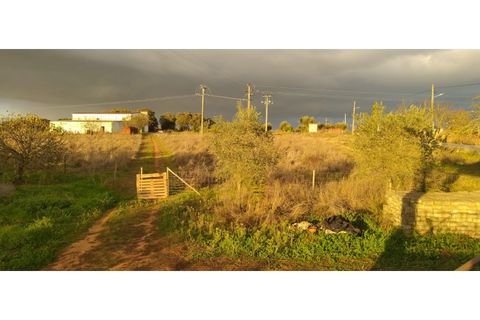 Farm i Estremoz, Evora, Estremoz - € 490.000 | Ref: MAS_110 - foto 20